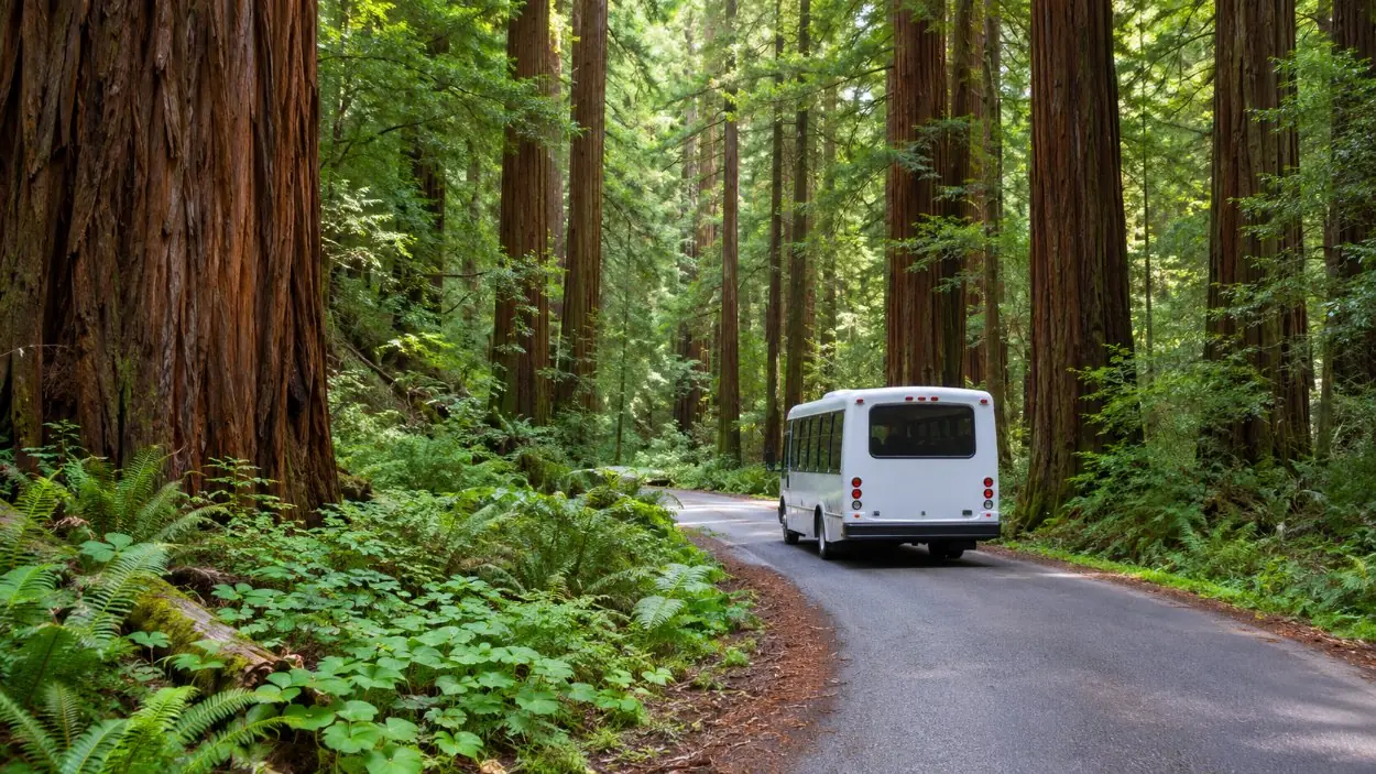 A shuttle bus on a narrow, winding road through the forest